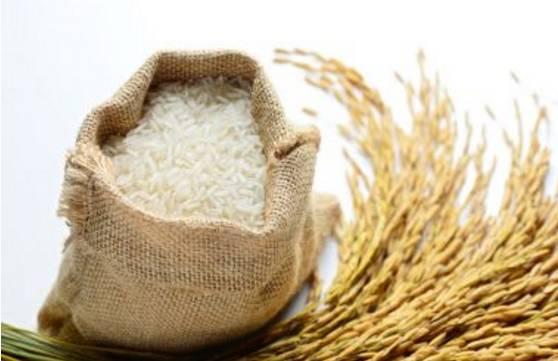为什么大米放久了会生虫，如何防止大米长虫的方法