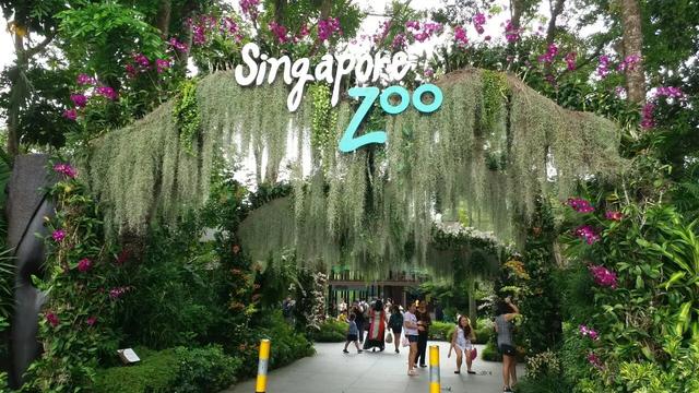 新加坡有哪些旅游景点值得推荐