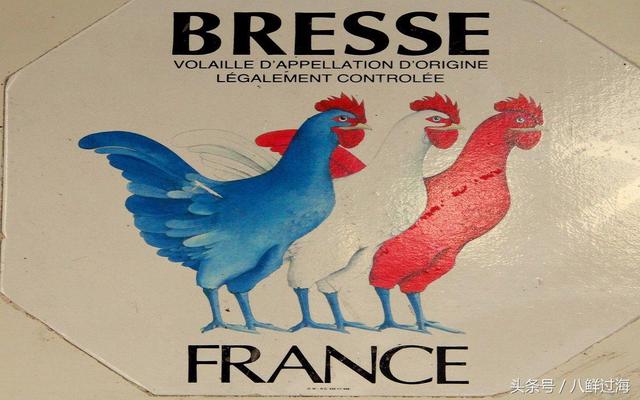 高卢鸡是哪个国家的象征，法国高卢鸡英国约翰牛