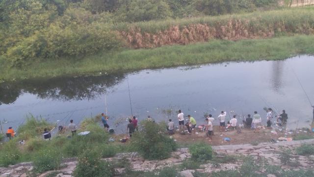 在深圳钓鱼还要交钱！ 别傻了，来这里，免费，鱼种还丰富。
