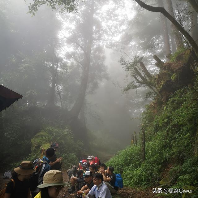 思窝森图腾：台湾阿里山眠月线，探险被大自然收回的原始森林秘境