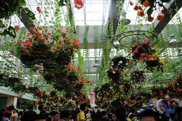 百万葵园：花香弥漫的葵园餐厅
