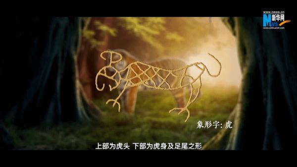 老虎在中国文化中的象征和意义