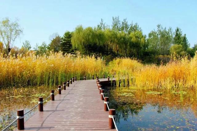 野鸭湖国家湿地公园简介，北京世界公园旅游攻略路线