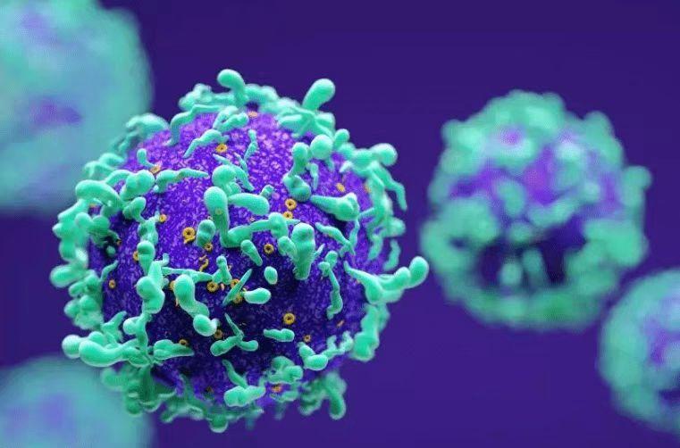 HPV是什么病毒是什么意思（HPV到底与宫颈癌有什么关系？）