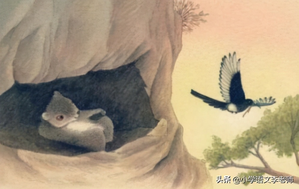 二年级语文上册《寒号鸟》课文解读，让孩子读懂寓言故事