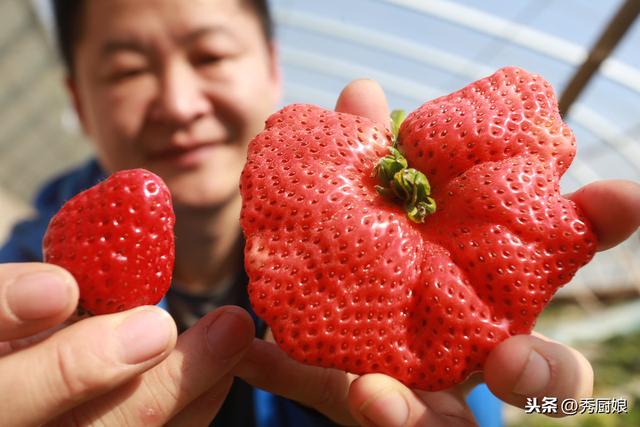 草莓怎么洗 清洗草莓的正确方法