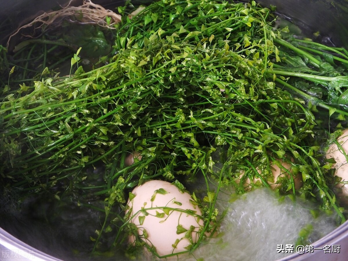 今天三月三，记得用这菜煮鸡蛋，人称“赛灵丹”，寓意家人身体好