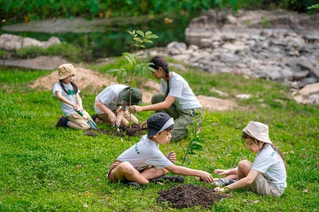 社会实践活动有哪些，小学植树活动方案及流程