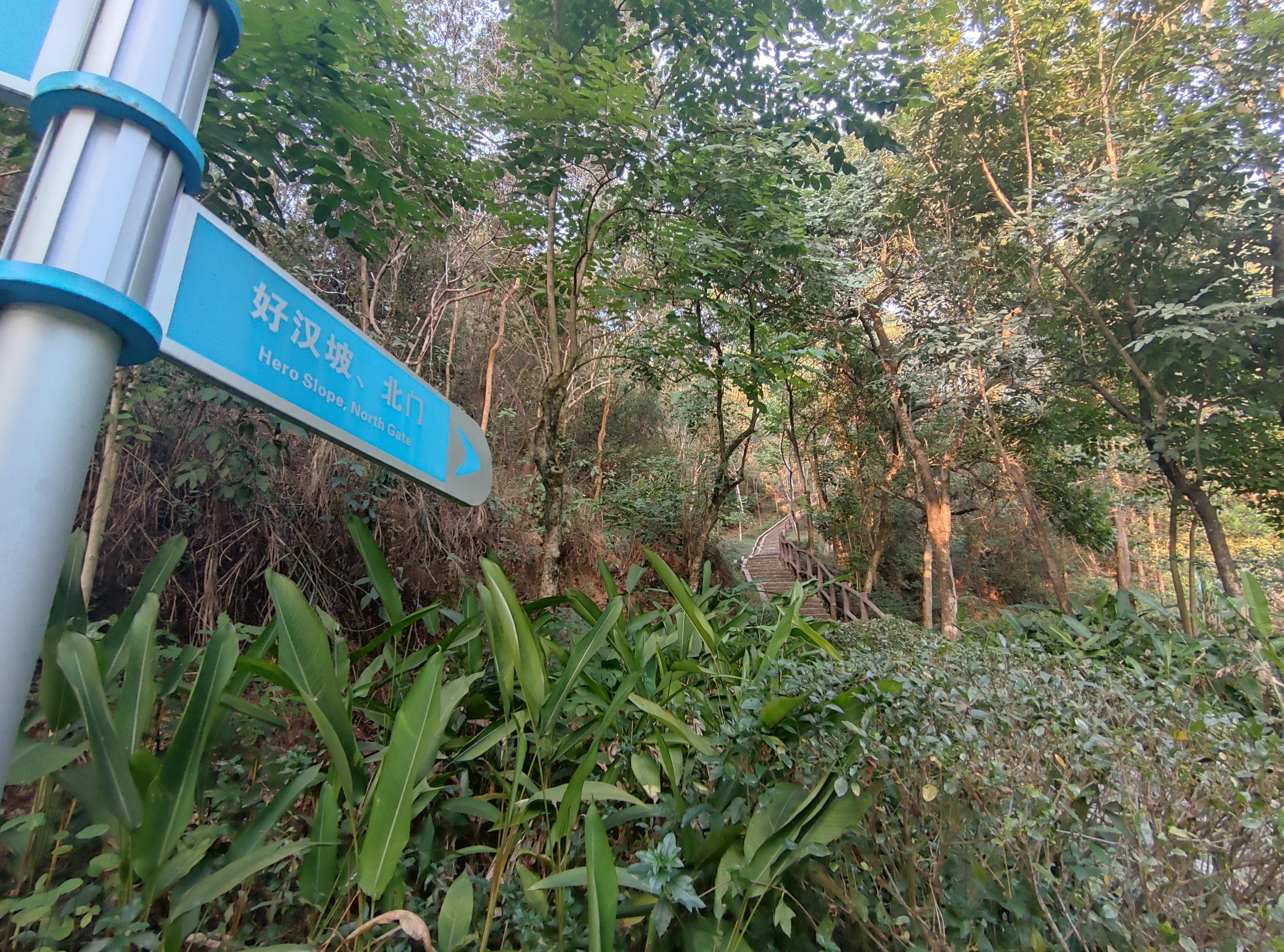 龙城公园游玩攻略一日游，深圳龙城公园规划图