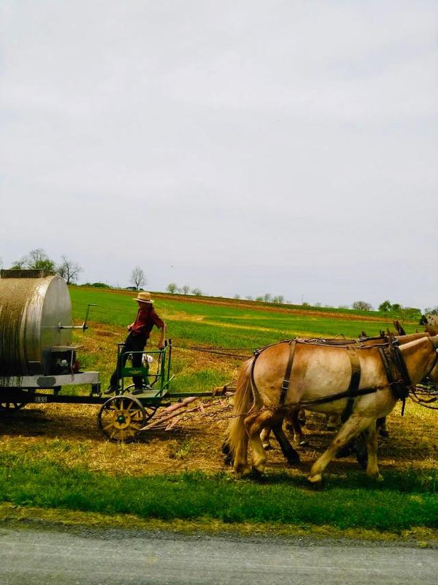 阿米什（Amish）——现代社会中的原生态「原创」
