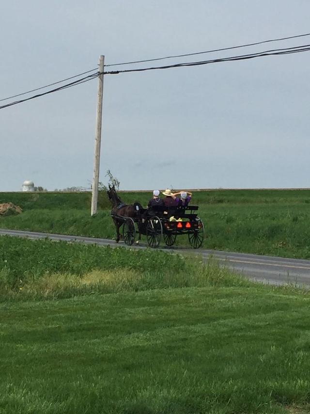 阿米什（Amish）——现代社会中的原生态「原创」