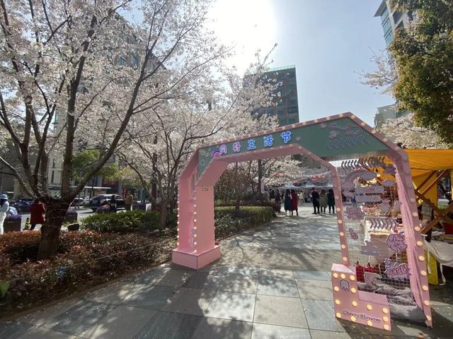 樱花季，杨浦这个街区浪漫来袭
