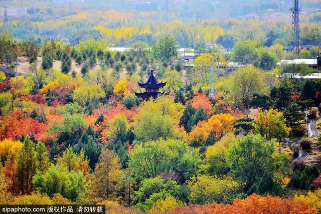 漫步京城这些森林公园，共赏秋景如画